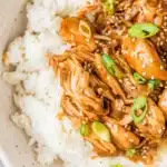 Dump and Go Crockpot Teriyaki Chicken recipes