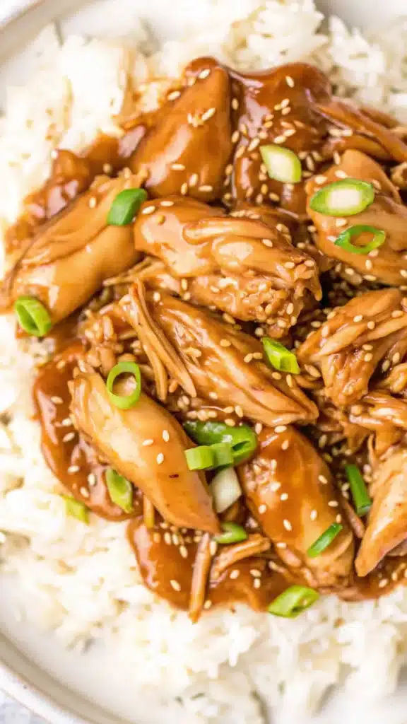 How to make Dump and Go Crockpot Teriyaki Chicken Recipe